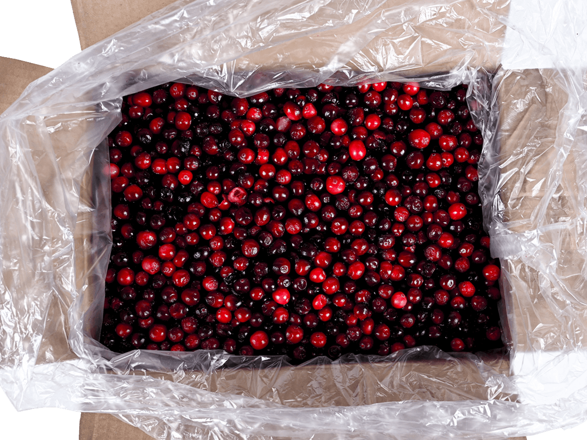 Клюква садовая с/м 10 кг, Россия