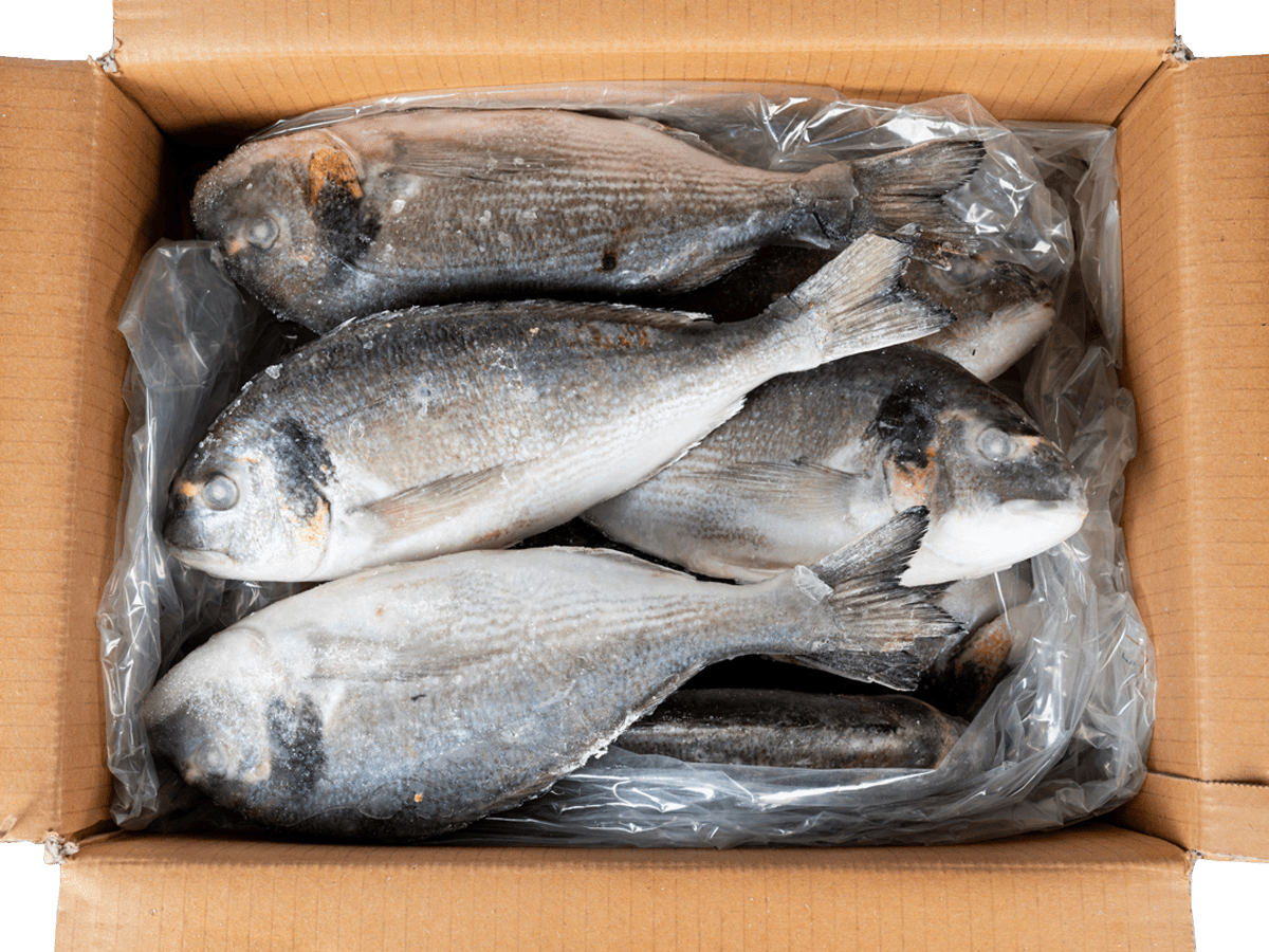 Дорадо с/м тушка н/р 400-600г