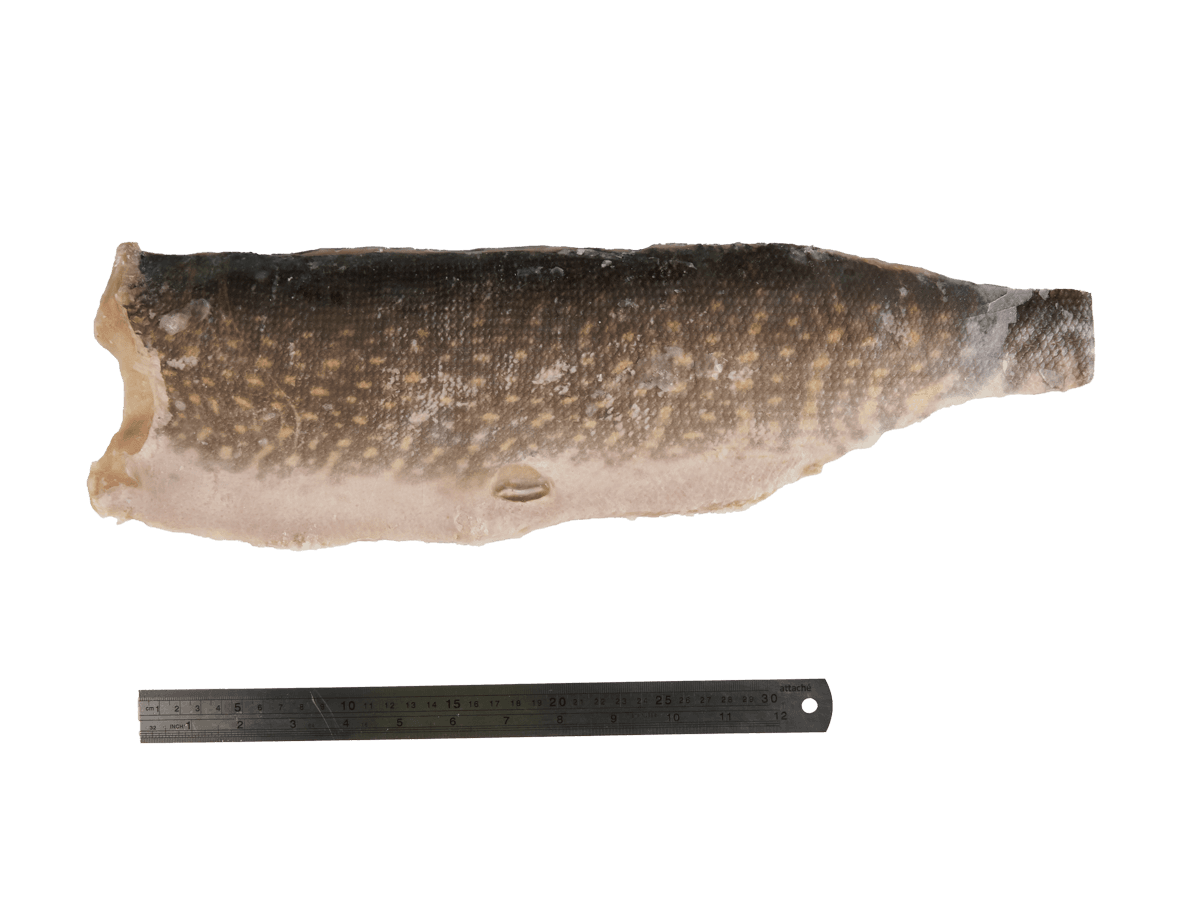 Щука с/м филе на коже  