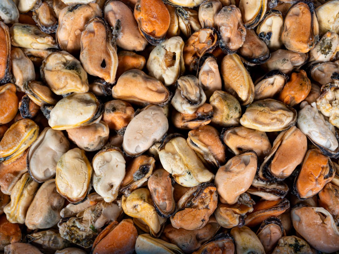 Мидии мясо в/м 100-200, Чили