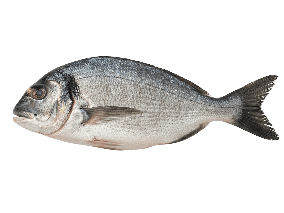 Дорадо с/м тушка н/р 400-600г