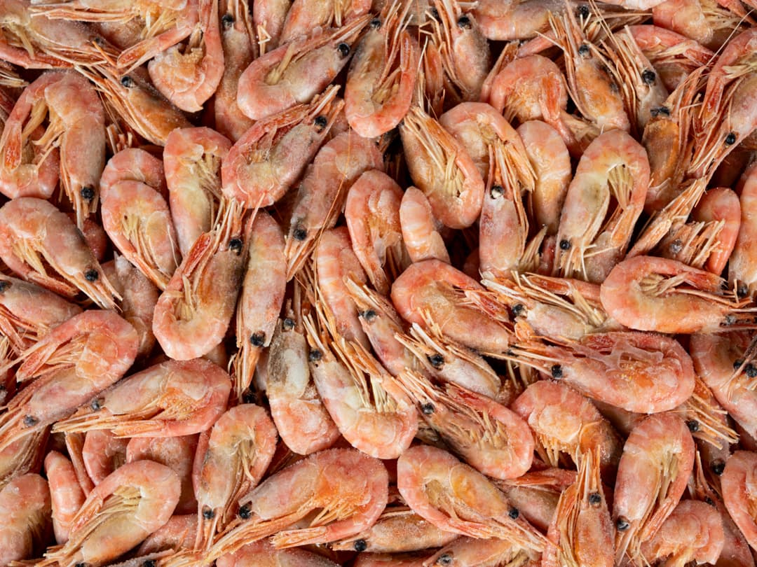 Креветка северная в/м в панцире 70/90, IQF