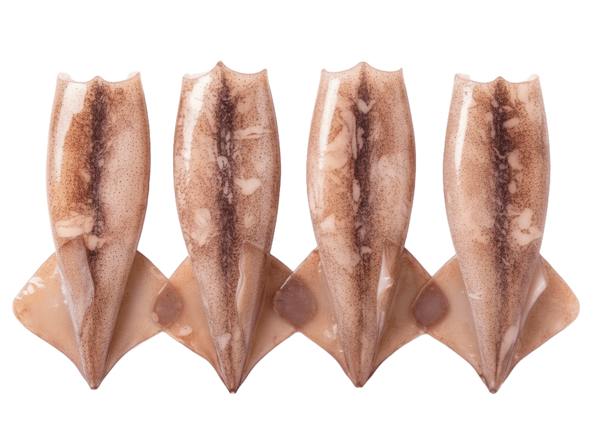 Кальмар командорский тушка