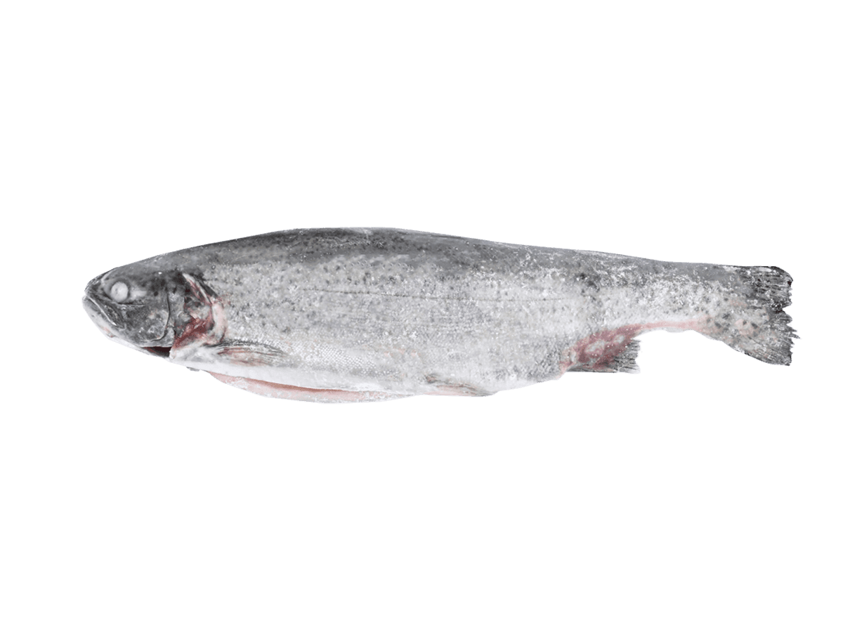 Форель радужная с/м тушка с/г  300-350г