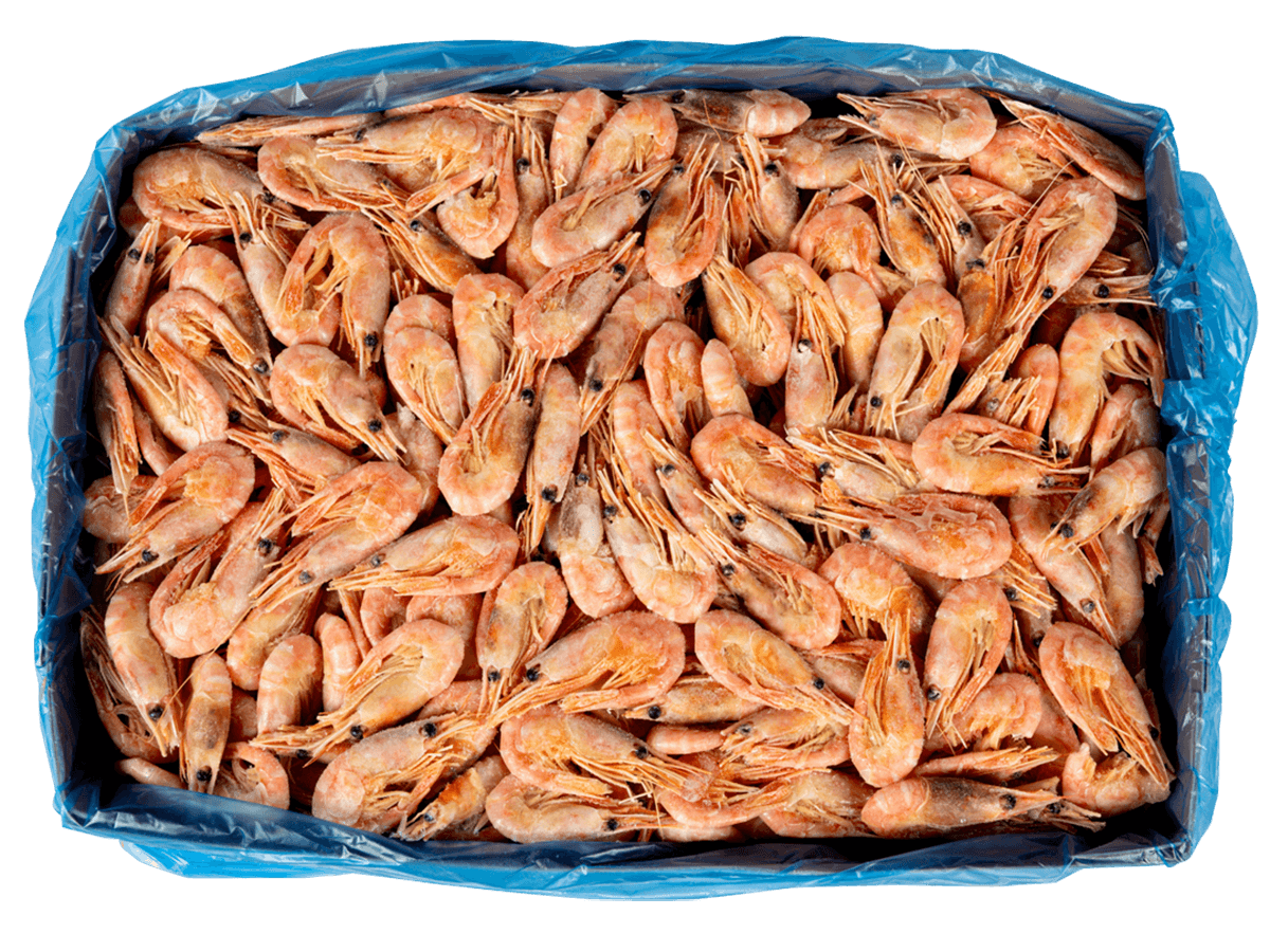 Креветка северная в/м в панцире 70/90, IQF