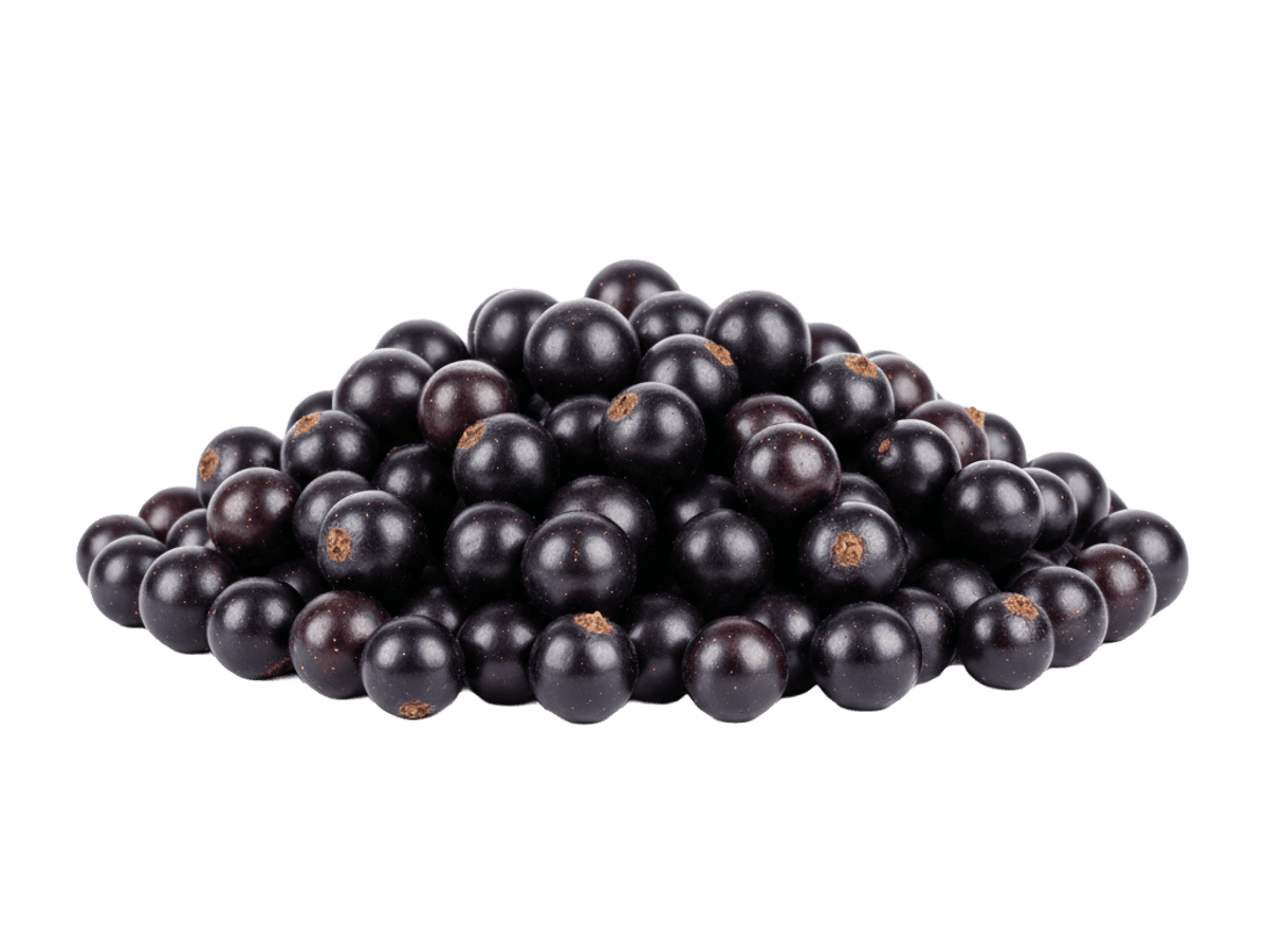 Черная смородина с/м 10кг, Киргизия