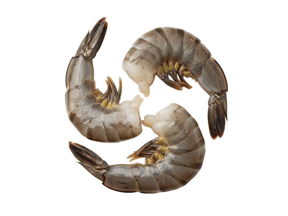 Креветка черная тигровая с/м б/г в панц. 16/20 IQF,  Бангладеш