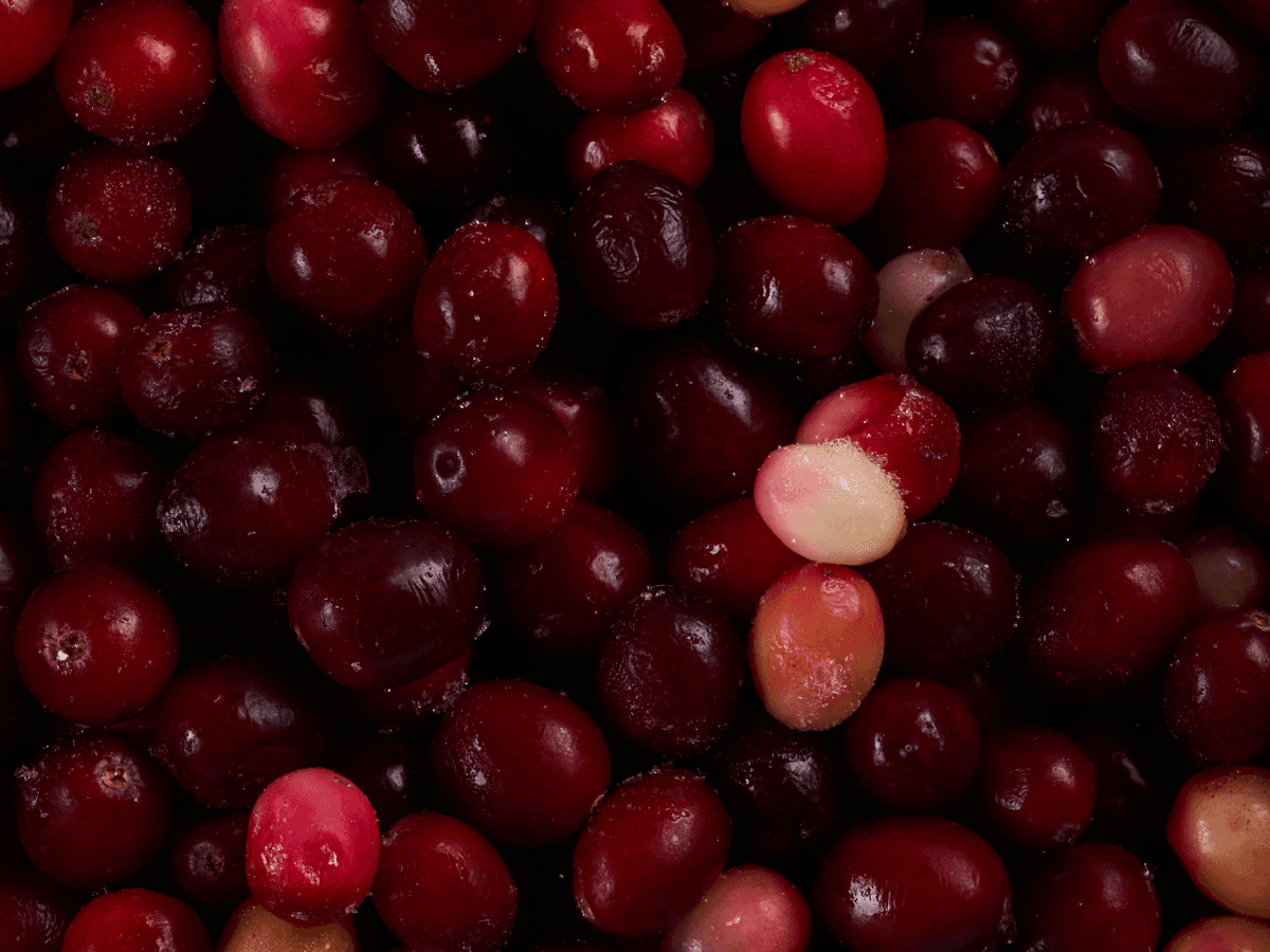 Клюква садовая с/м 10 кг, Китай