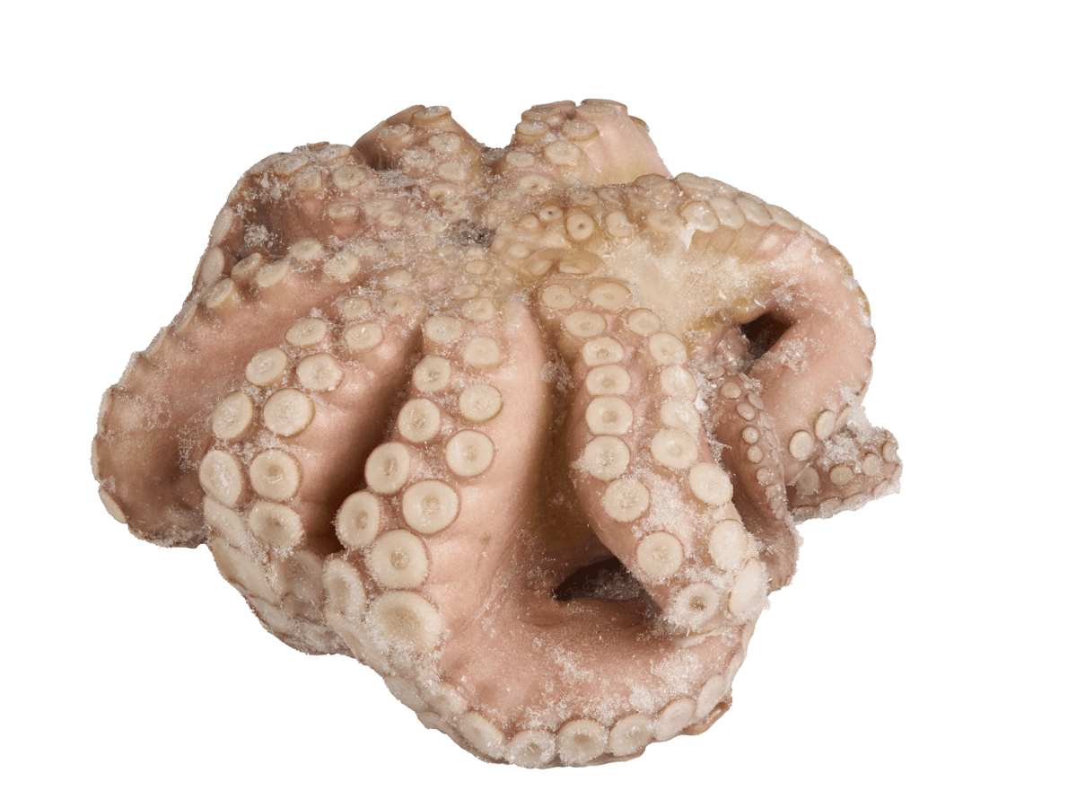 Осьминог целый с/м очищенный 3-4кг, Марокко