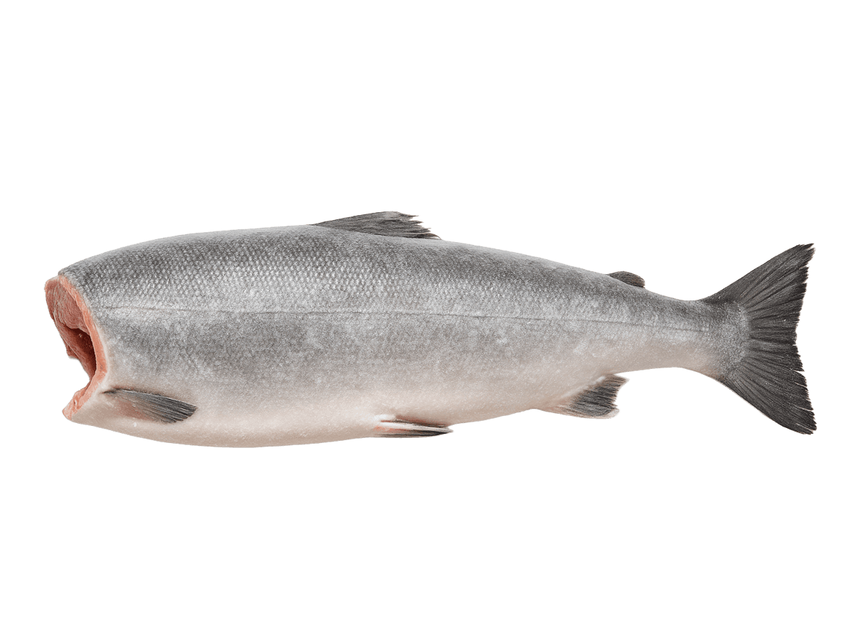 Кижуч с/м тушка б/г  2,7-4,1кг, Чили