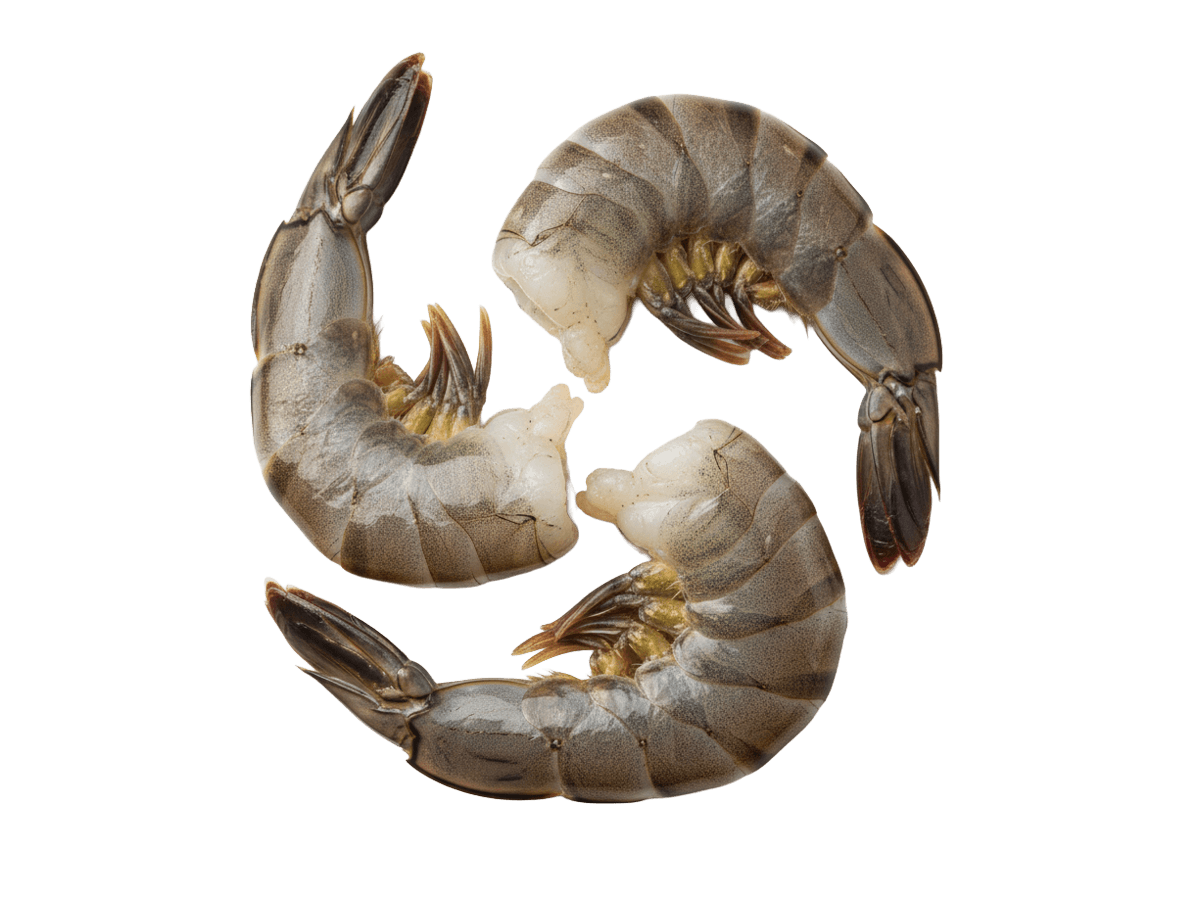 Креветка черная тигровая с/м б/г в панц. 8/12 IQF, Бангладеш