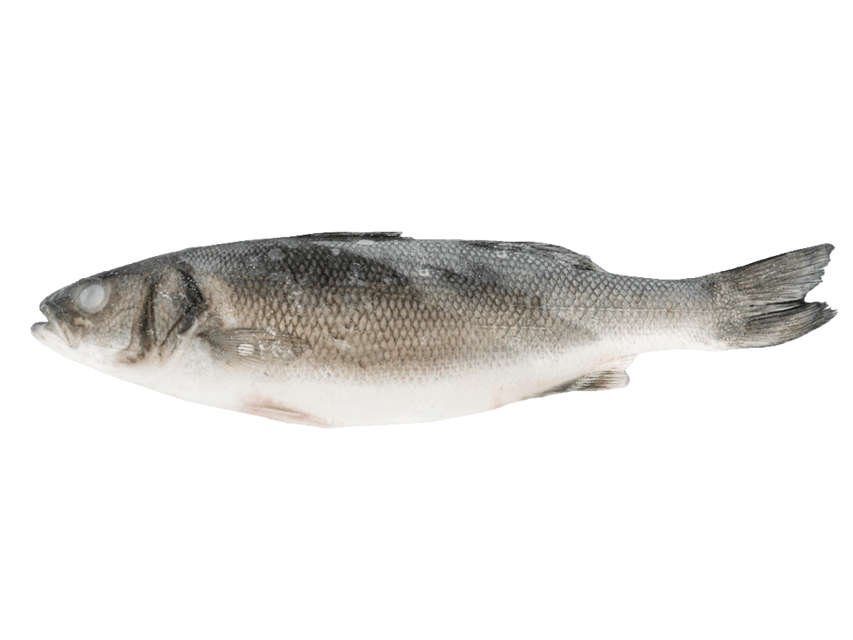 Сибас с/м тушка н/р  400-600г