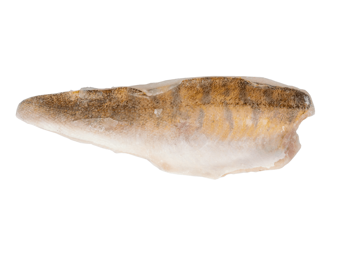 Судак с/м филе на коже  200+г