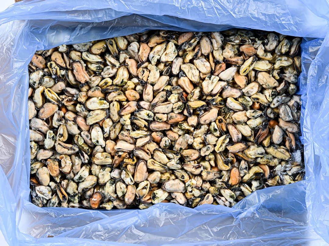 Мидии мясо в/м 300-500, Чили