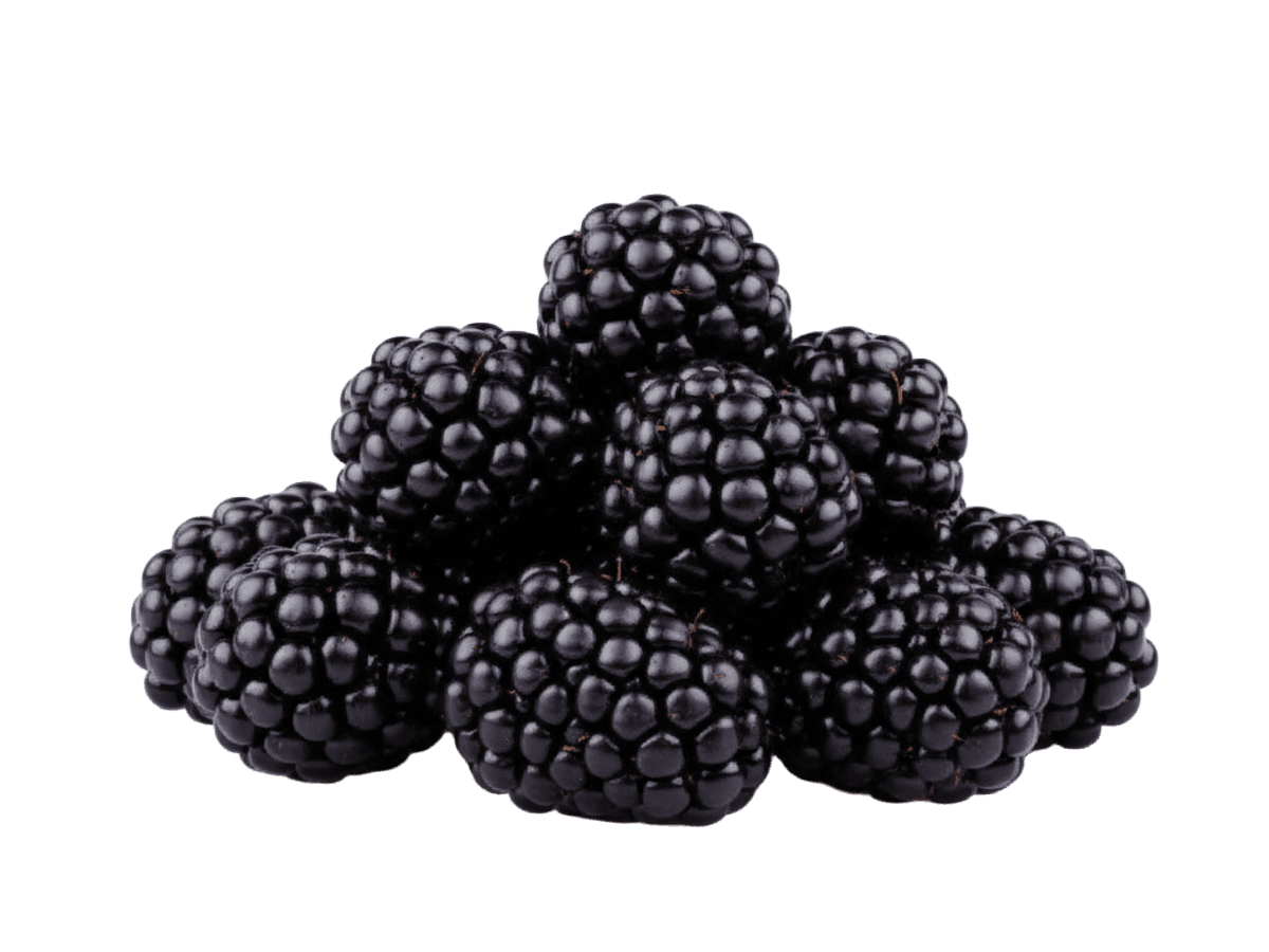 Ежевика с/м 10 кг, Сербия