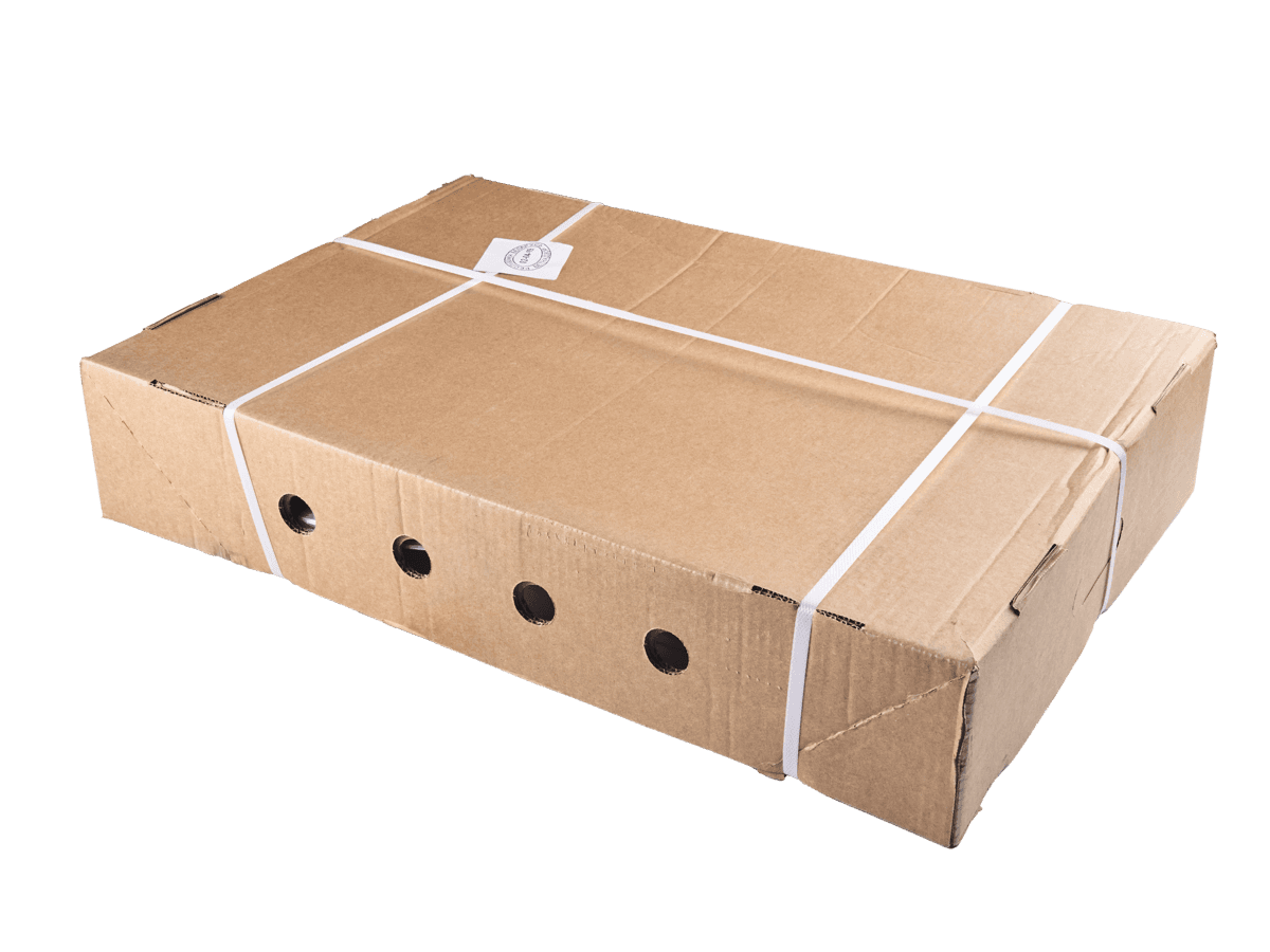 Форель сл/с филе Trim B 1,2-1,6кг