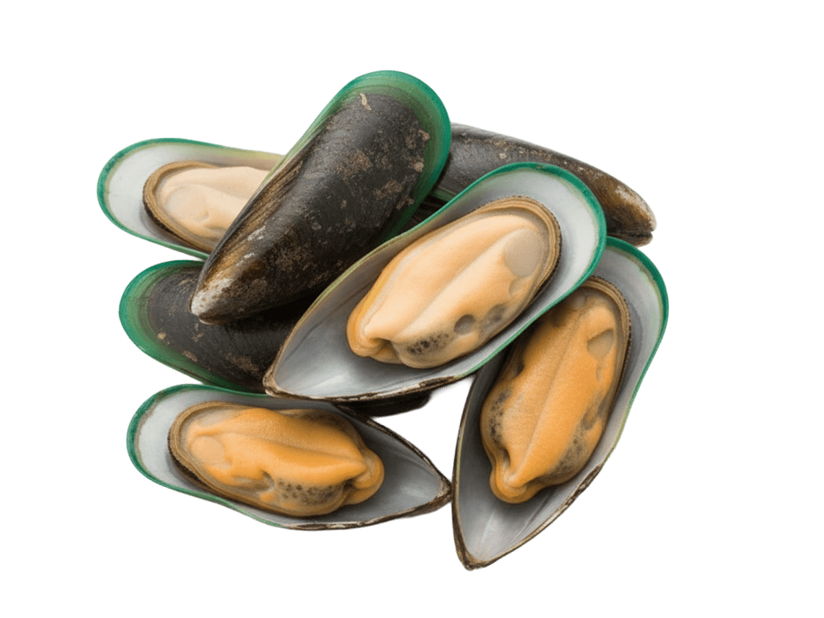 Мидии зеленые 35/45, Китай