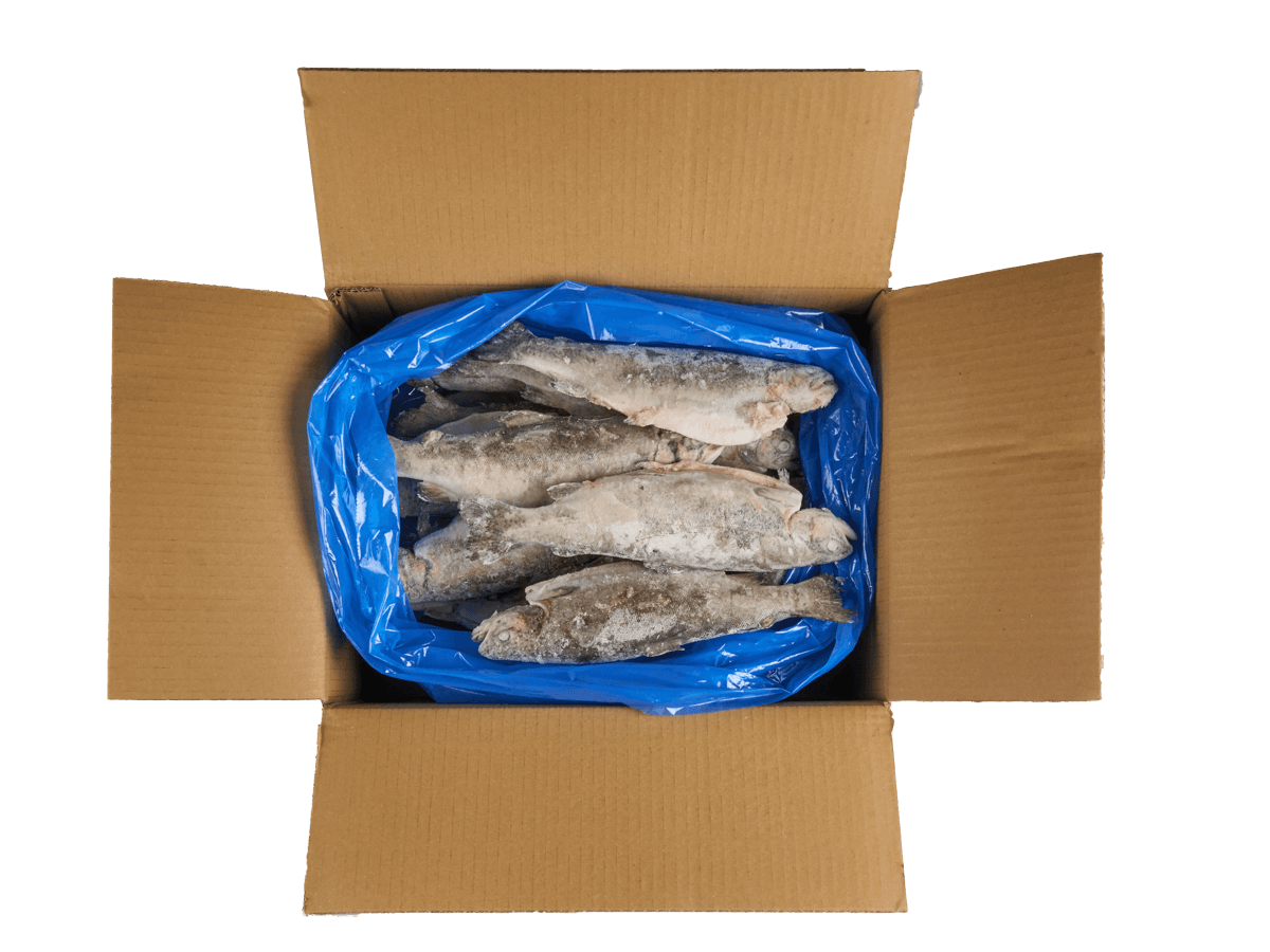 Форель радужная с/м тушка c/г  250-300г