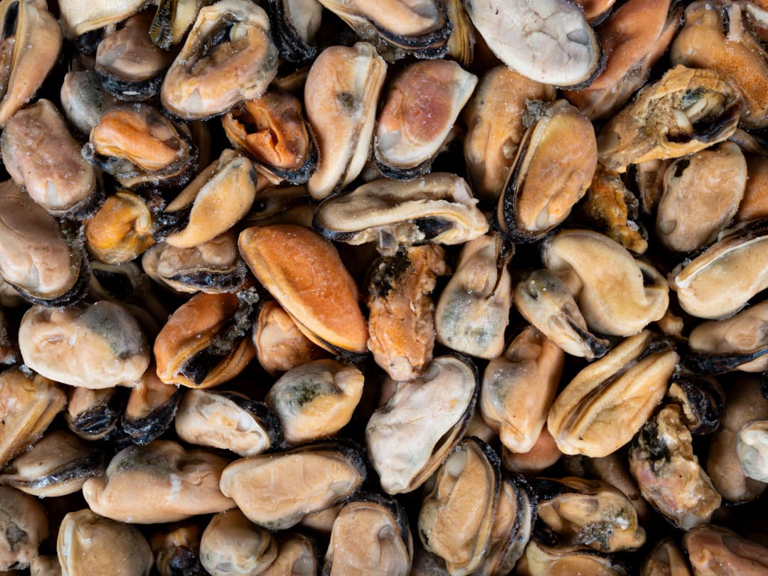 Мидии мясо в/м 200-300, Чили