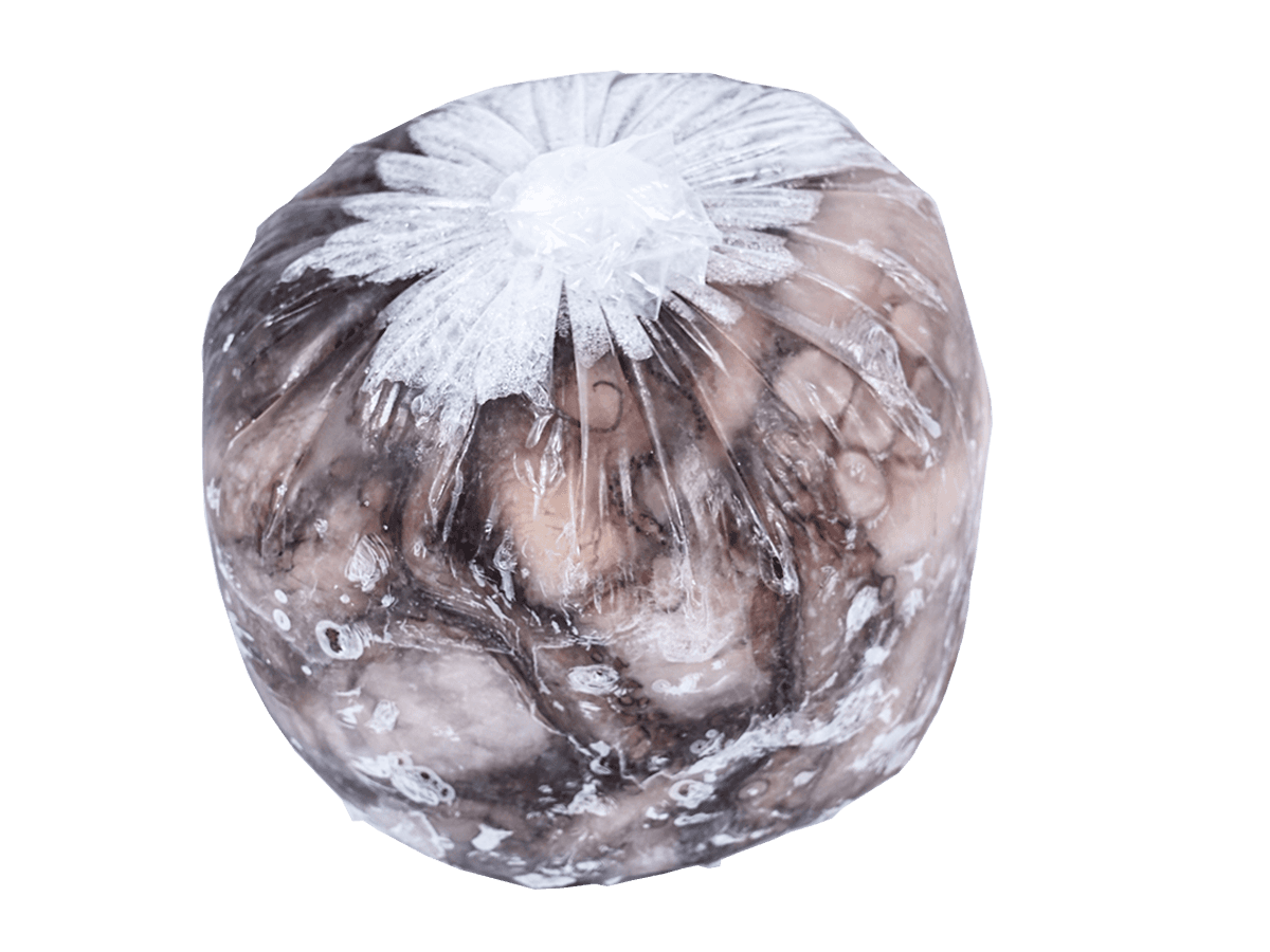 Осьминог целый с/м очищенный 2-3кг, Индонезия