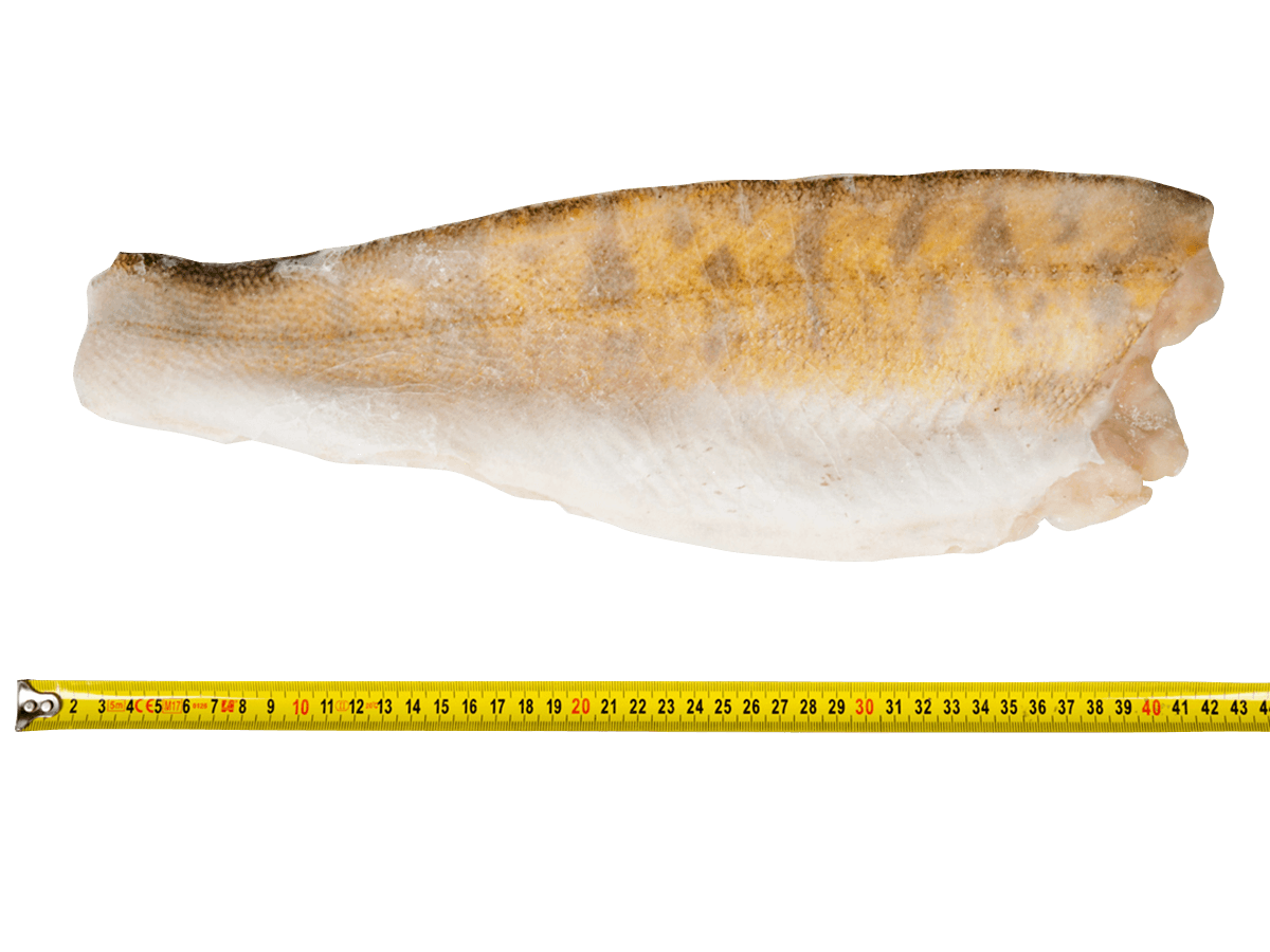 Судак с/м филе на коже  400+г