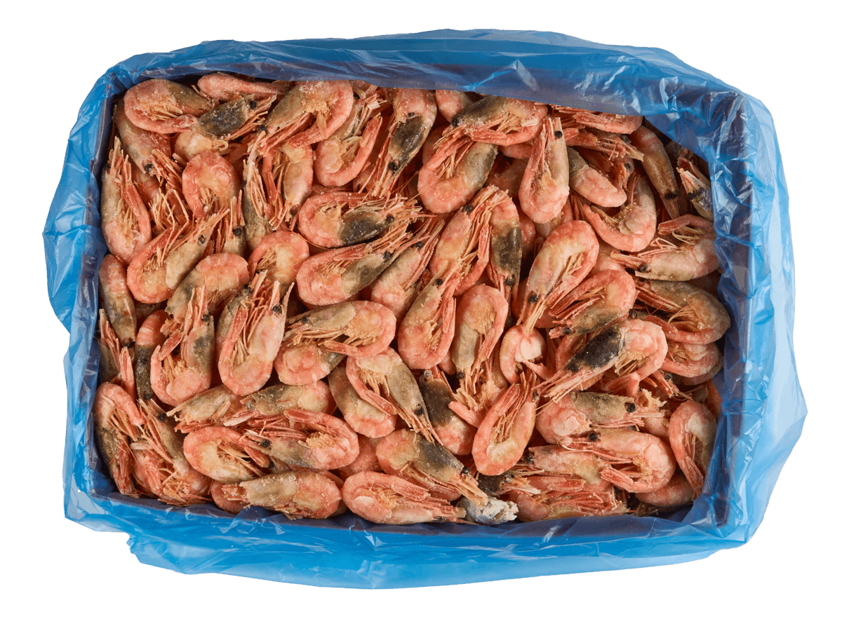 Креветка северная в/м в панцире 40/60, IQF