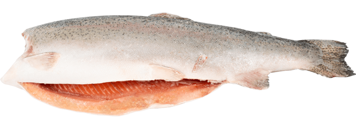 Форель радужная с/м тушка б/г 1,8-2,7кг, Турция