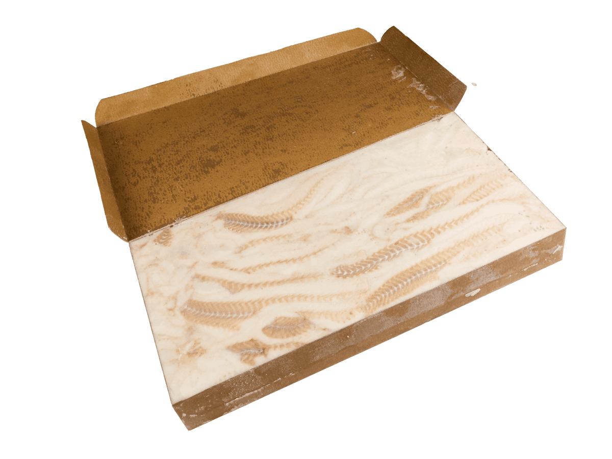 Минтай с/м филе без кожи в блоке