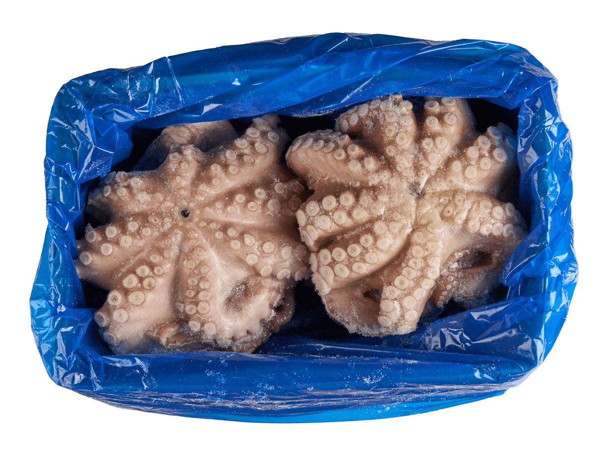 Осьминог целый с/м очищенный 3-4кг, Марокко