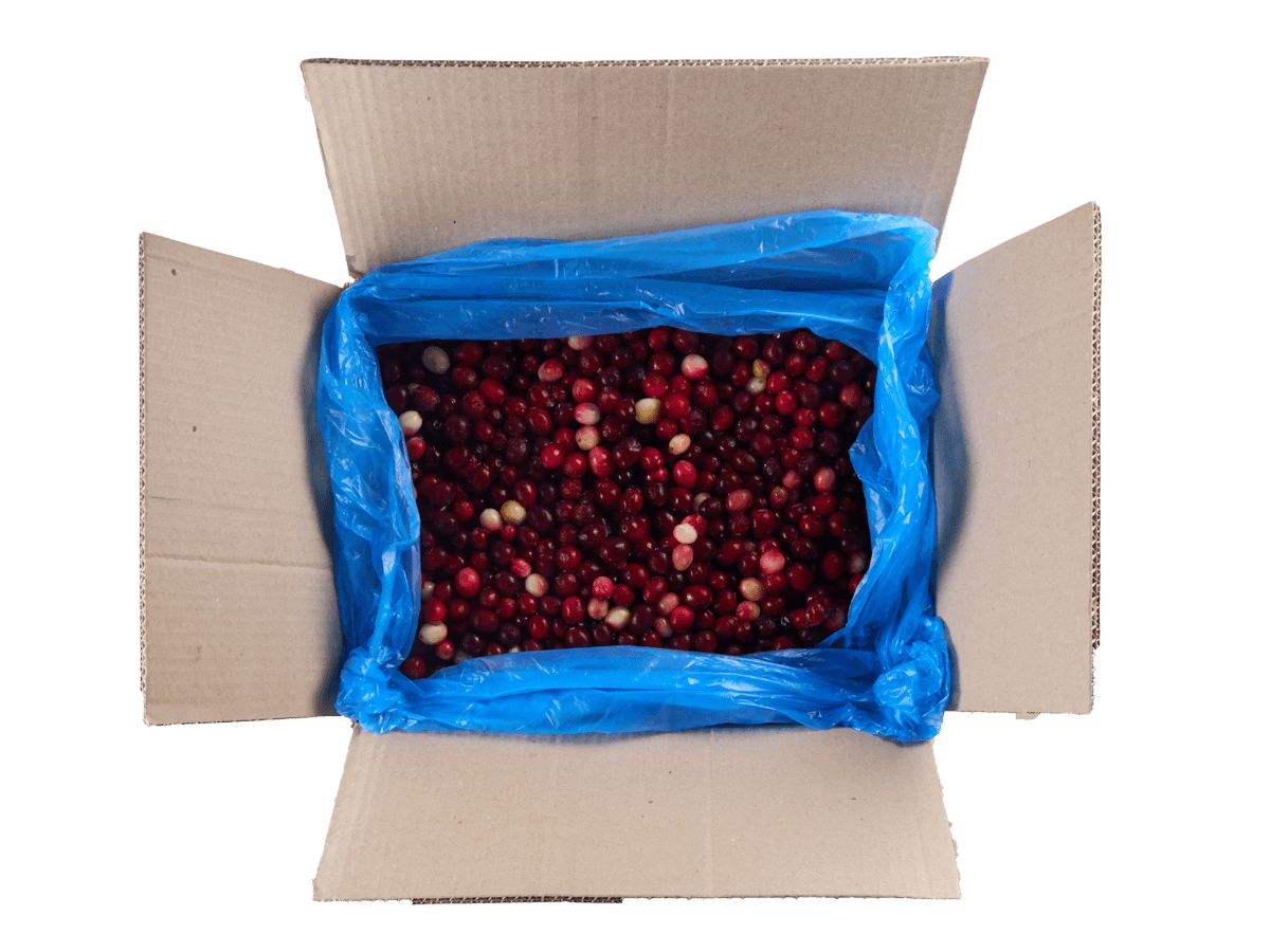 Клюква садовая с/м 10 кг, Китай