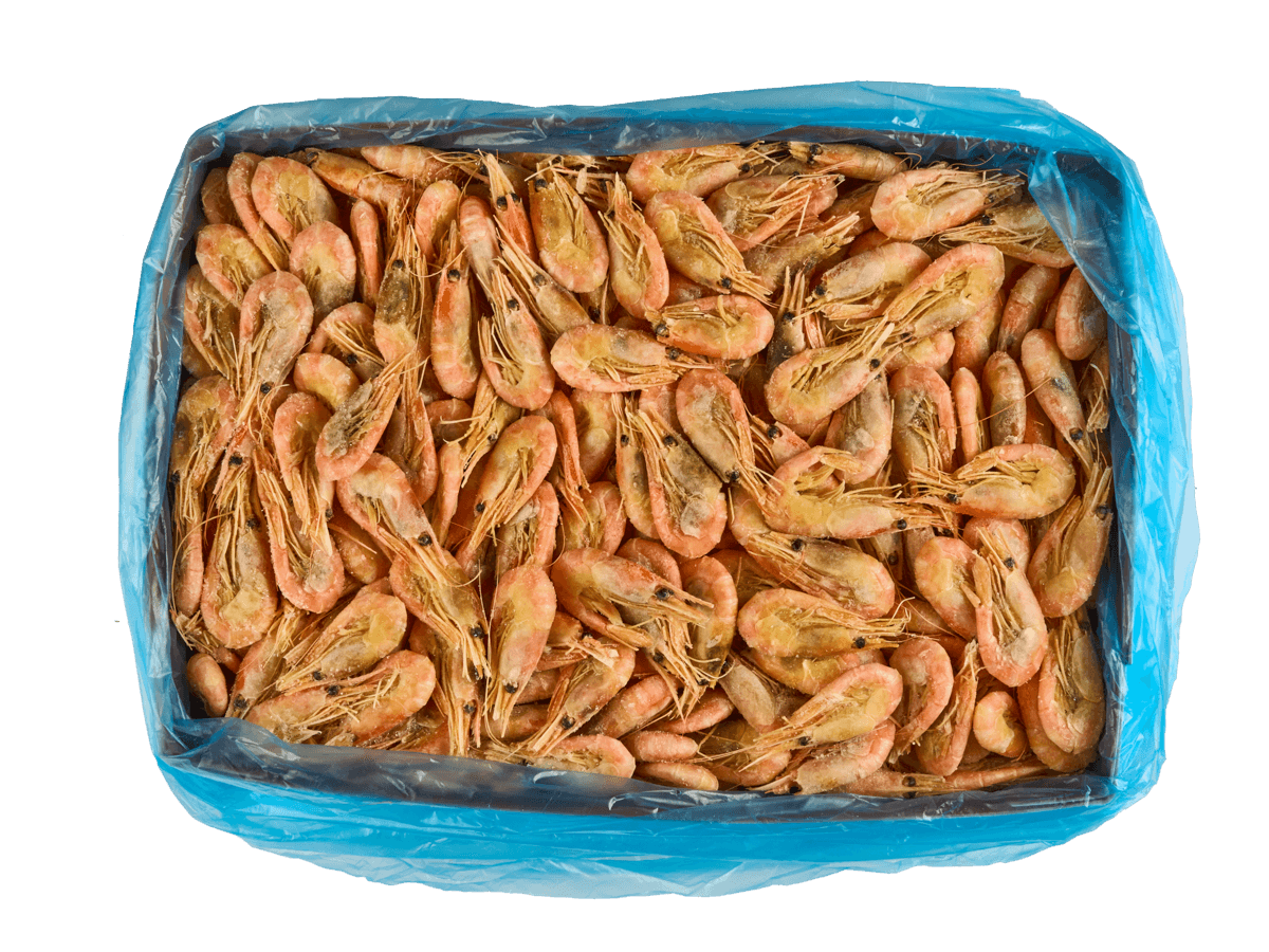 Креветка северная в/м в панцире 90/120, IQF