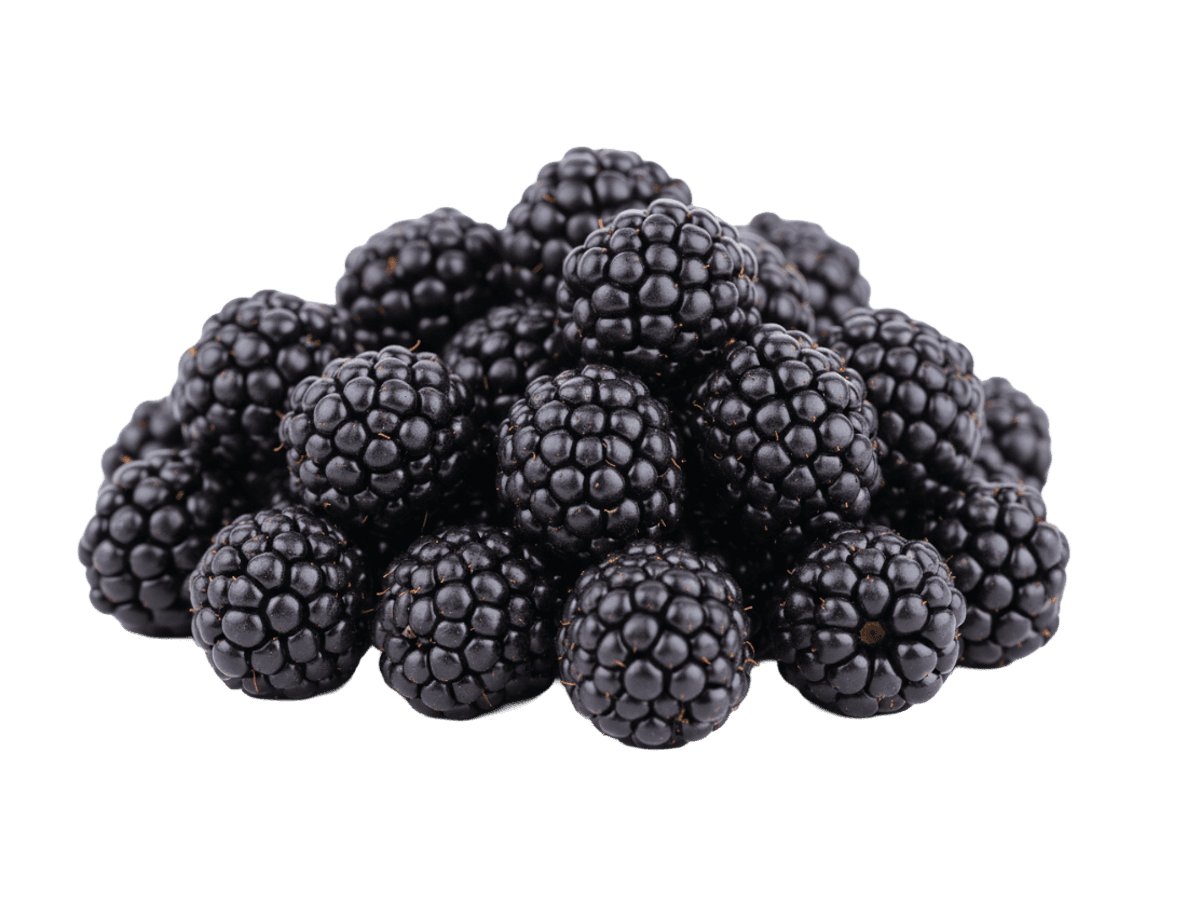 Ежевика с/м 10 кг, Китай