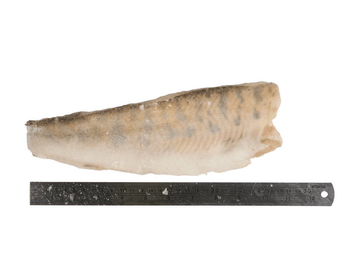 Судак с/м филе на коже  300+г