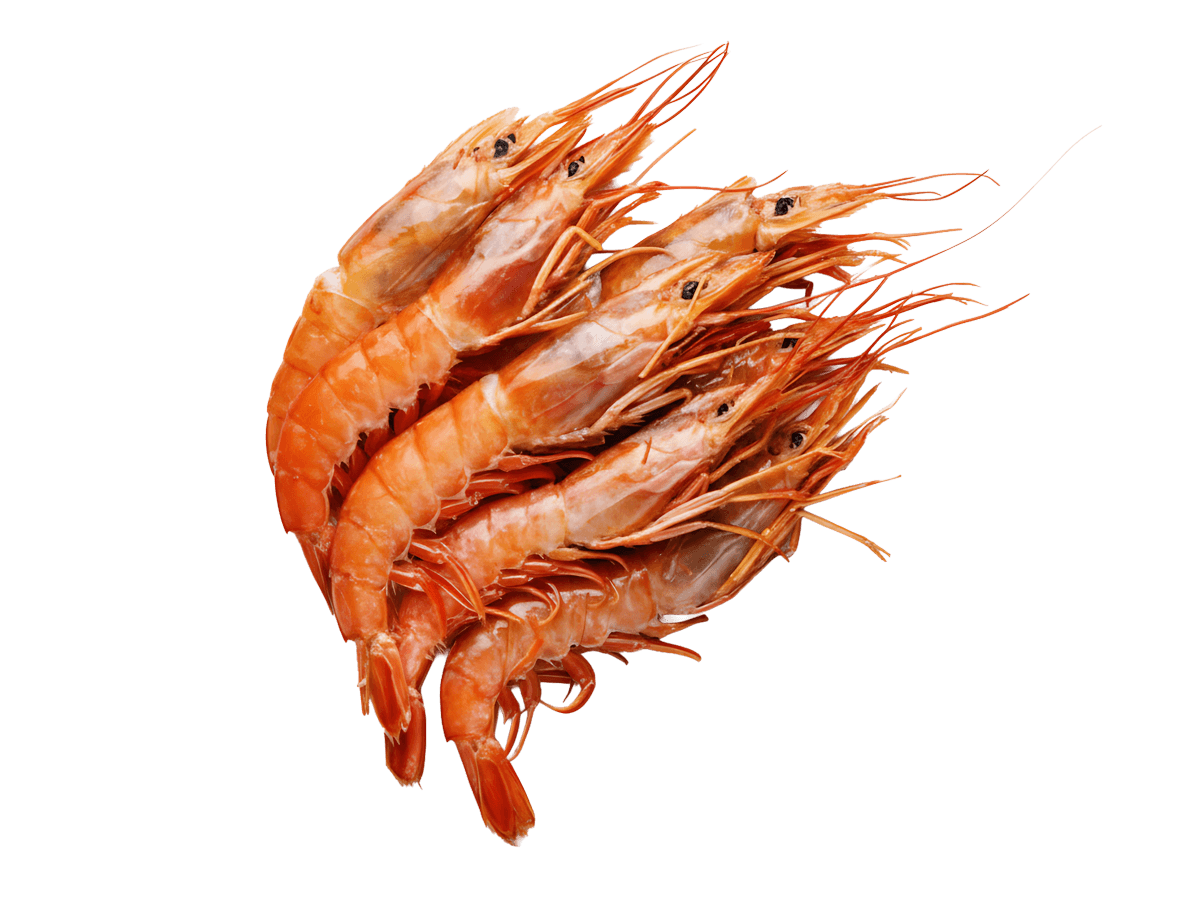 Креветка красная аргентинская с/м с/г в панц. L1 (10/20), 2кг, Аргентина