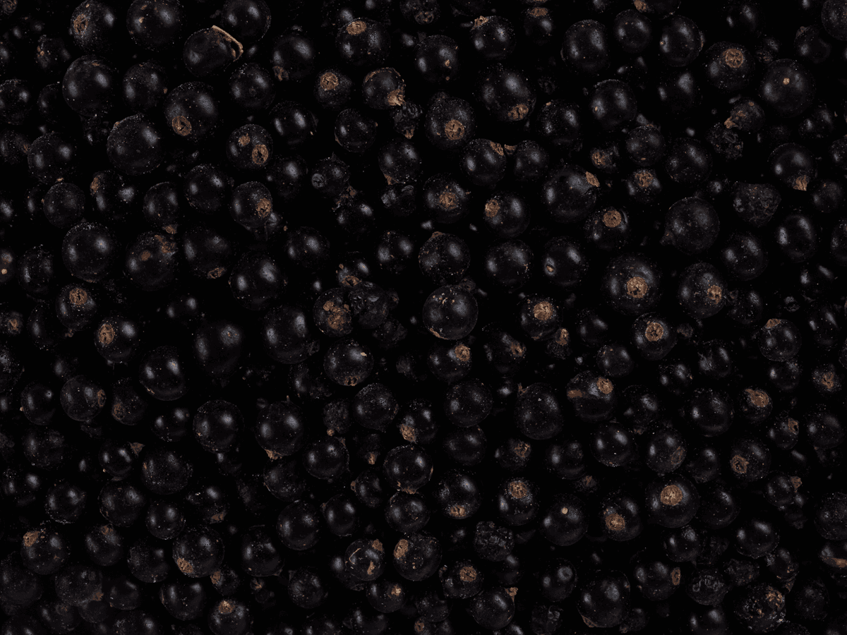 Черная смородина с/м 10кг, Беларусь