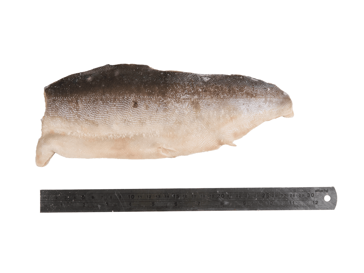 Горбуша филе на коже IQF