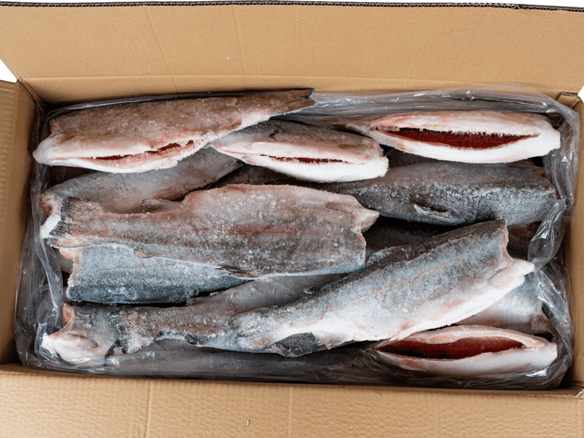 Форель радужная с/м тушка б/г  0,9-1,4кг, Турция