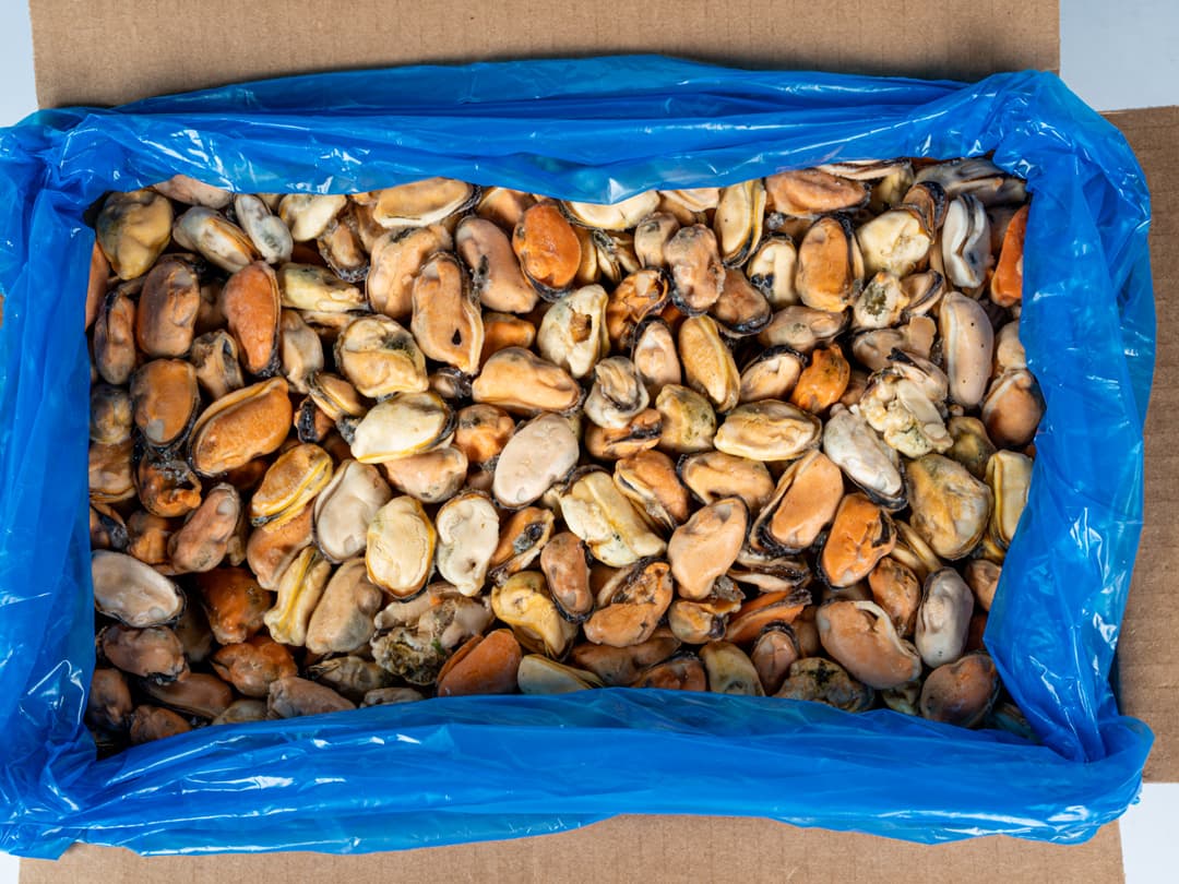 Мидии мясо в/м 100-200, Чили