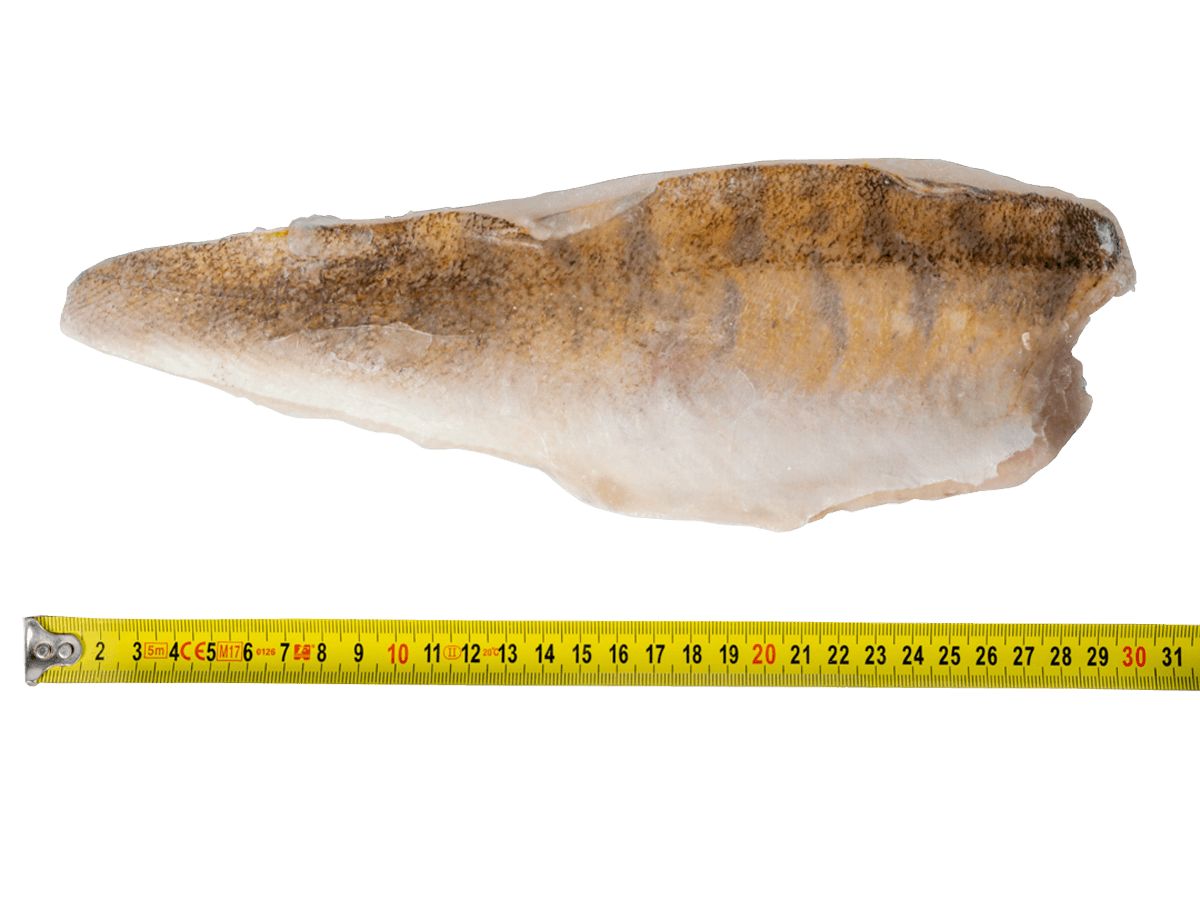 Судак с/м филе на коже  200+г