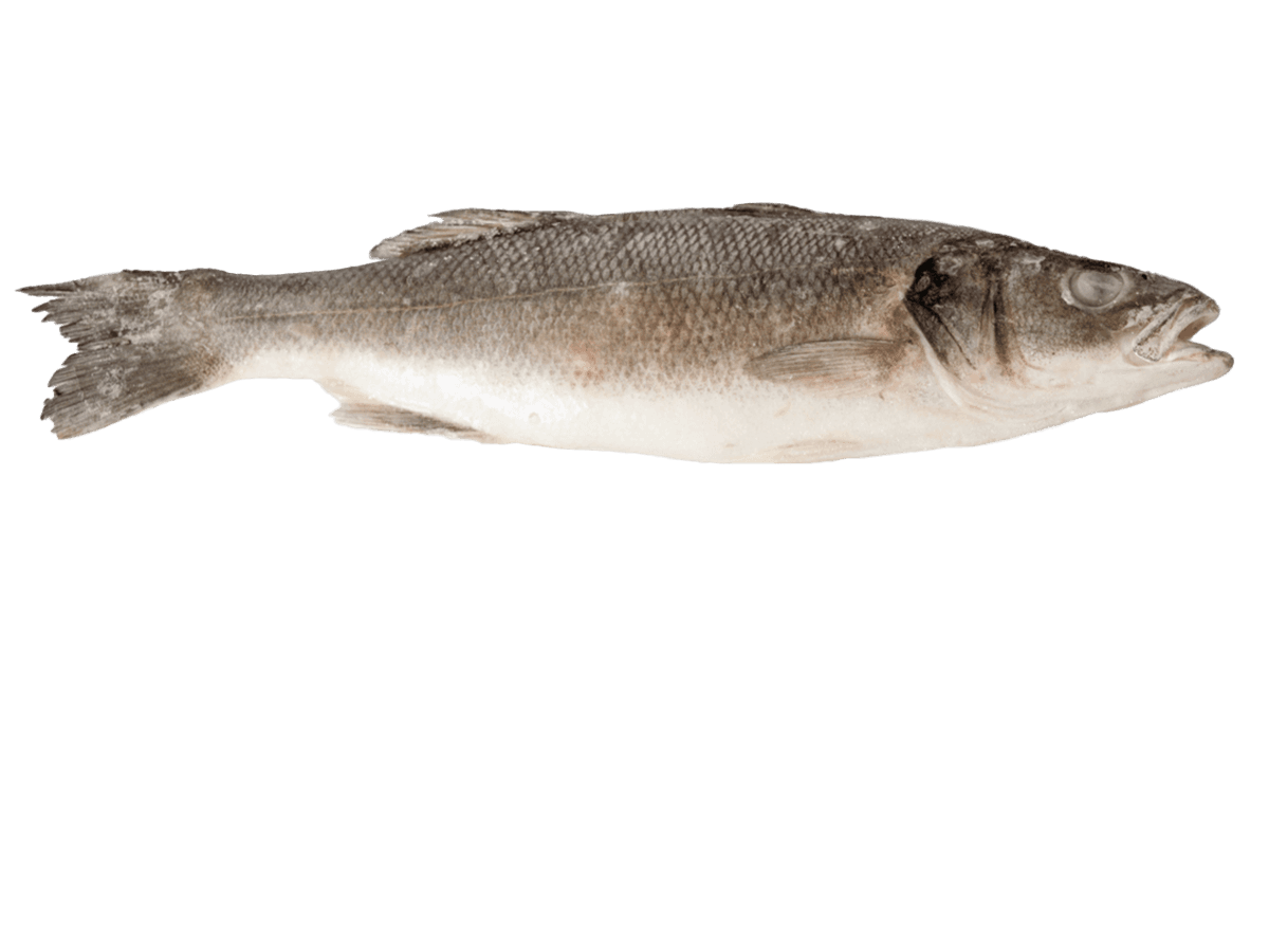 Сибас с/м тушка н/р  300-400г