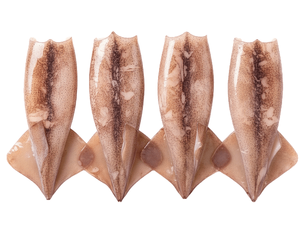 Кальмар командорский тушка