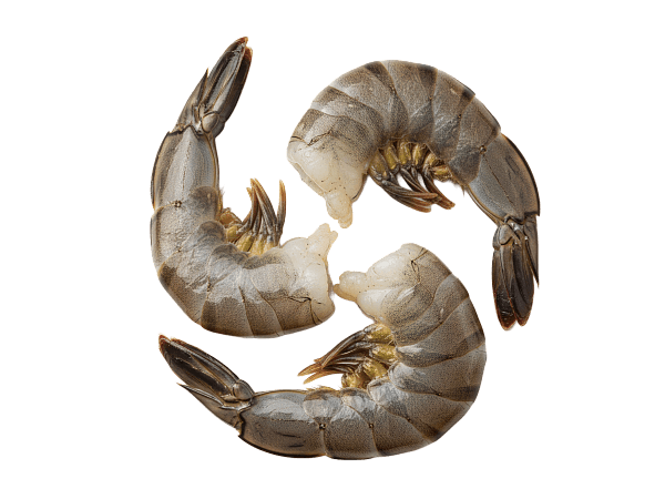 Креветка черная тигровая с/м б/г в панц. 21/25 IQF, Бангладеш