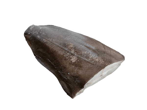 Палтус синекорый с/м тушка б/г  3-5кг