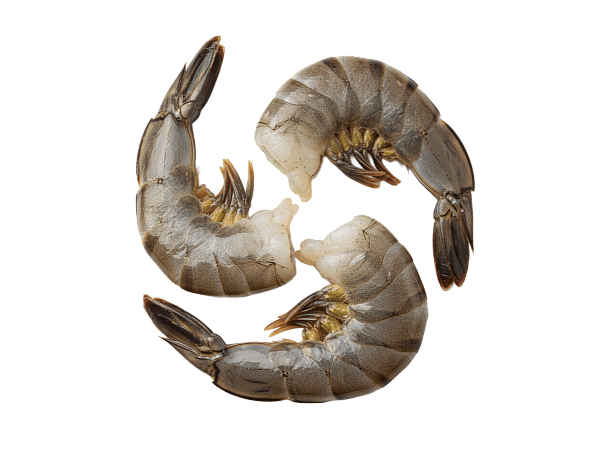 Креветка черная тигровая с/м б/г в панц. 16/20 IQF,  Бангладеш