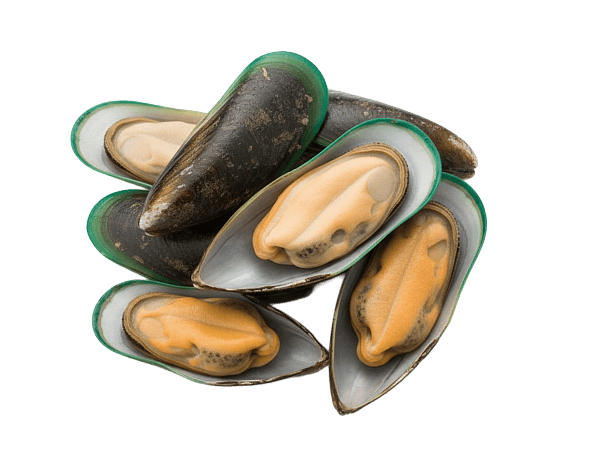 Мидии зеленые 35/45, Китай