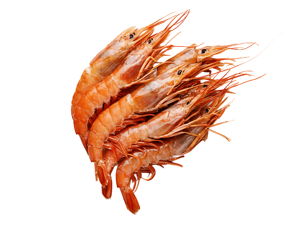 Креветка красная аргентинская с/м с/г в панц. L2 (21/30), 2кг, Аргентина