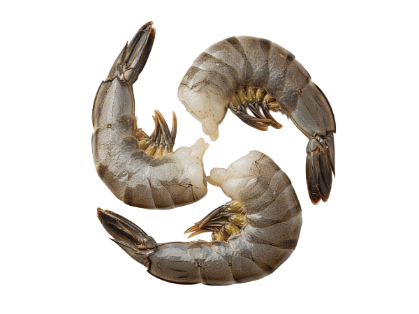 Креветка черная тигровая с/м б/г в панц. 13/15 IQF, Бангладеш