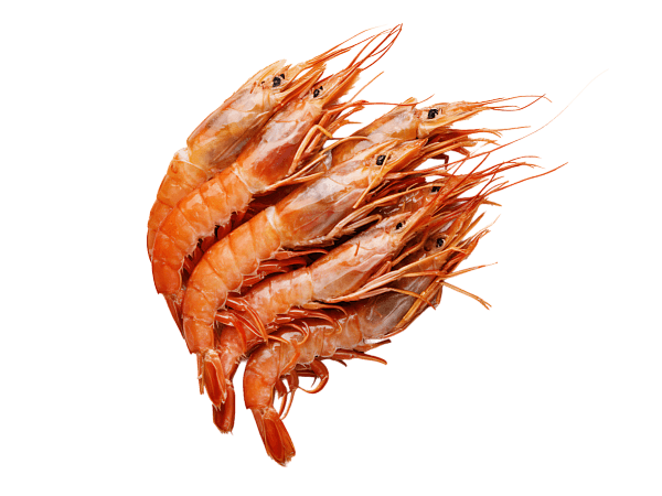 Креветка красная аргентинская с/м с/г в панц. L1 (10/20), 2кг, Аргентина