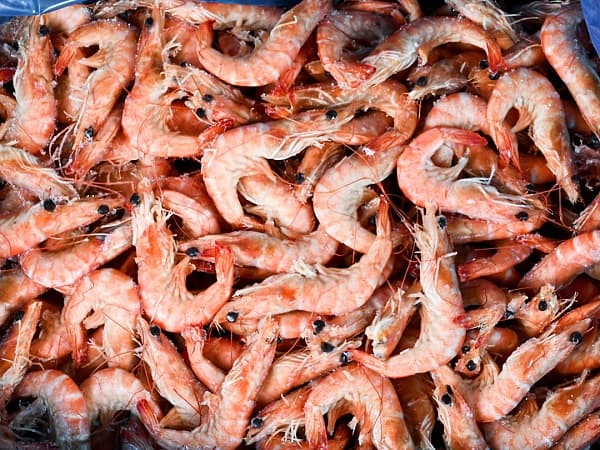 Креветка ваннамей в/м с/г в панц. 90/100, IQF