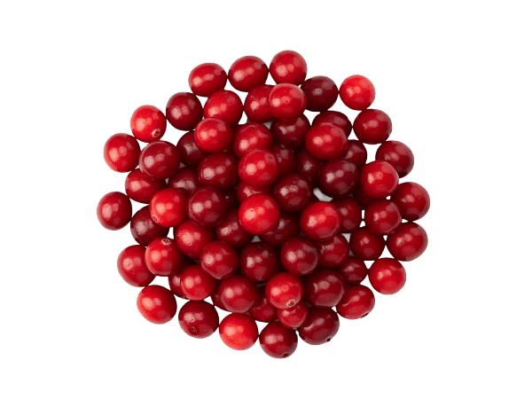 Брусника с/м дикорастущая 10 кг